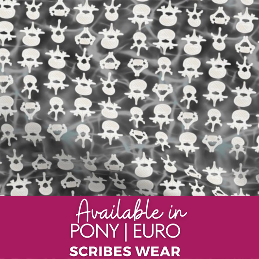 WH Grey Spine Vertebrae