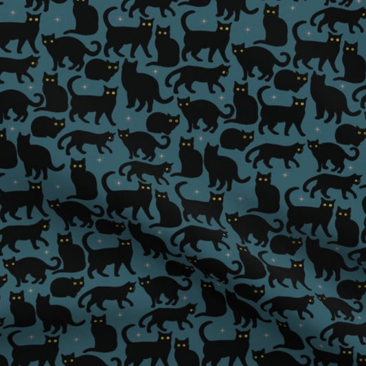 WH Black Cats in Teal